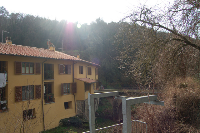 Una bella grigliata?